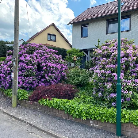 Nahe Inselsberg Wanderwege Waltershausen