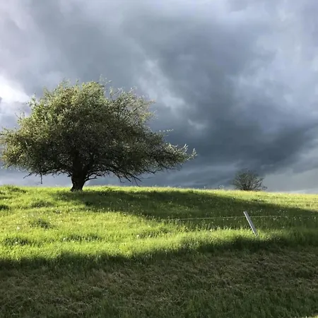 Nahe Inselsberg Wanderwege * Waltershausen