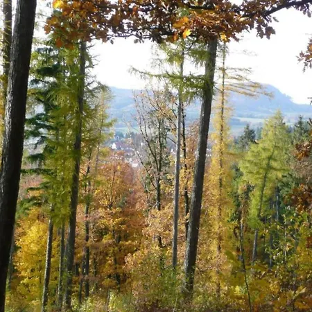 Nahe Inselsberg Wanderwege * Waltershausen