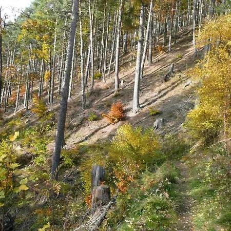 Nahe Inselsberg Wanderwege Waltershausen
