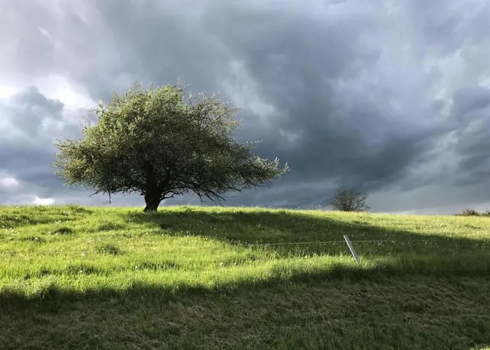 Nahe Inselsberg Wanderwege * Waltershausen