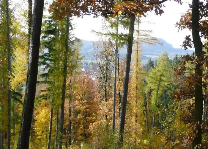 Nahe Inselsberg Wanderwege * Waltershausen