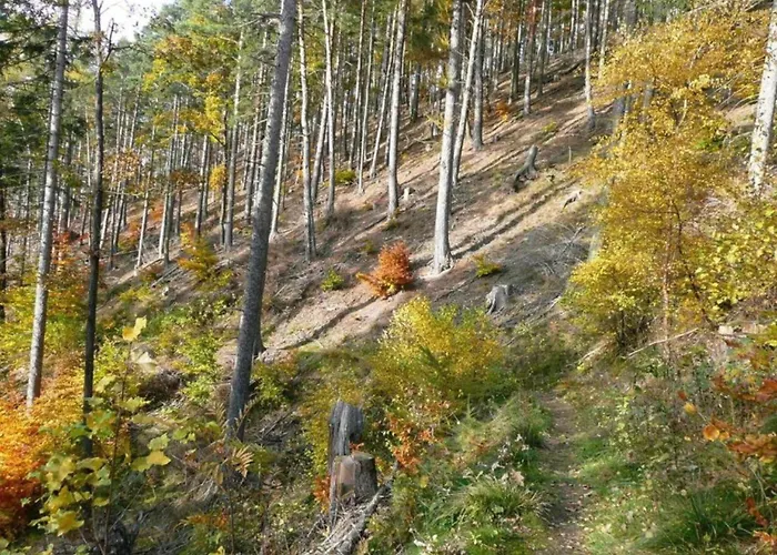 Nahe Inselsberg Wanderwege Waltershausen